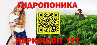 МДПВ Гусев