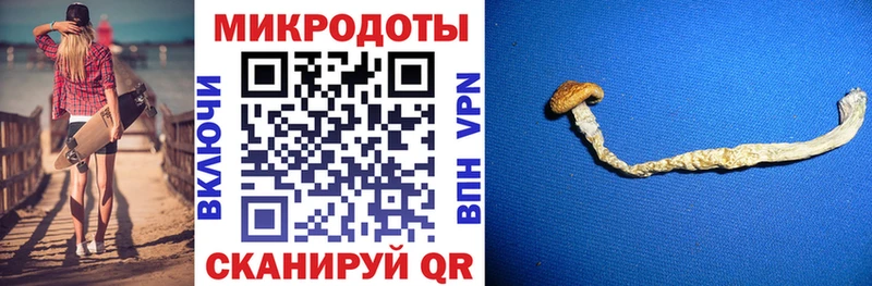 Галлюциногенные грибы Cubensis KRAKEN зеркало Нижневартовск